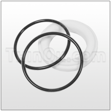 Seat/O-Ring DC500180760