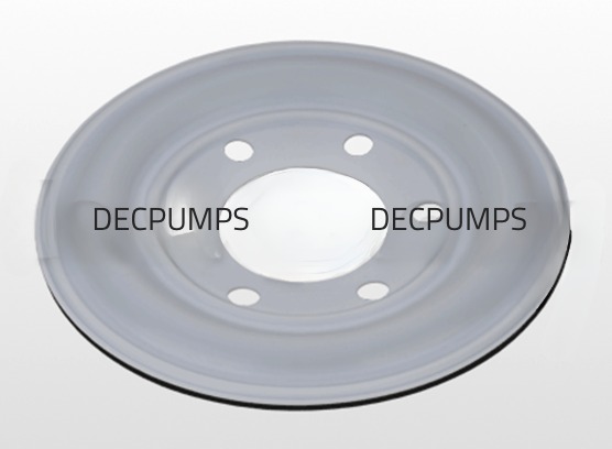 Diaphragm DC800180165