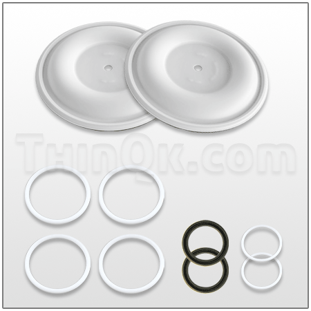 Diaphragm Kit DC24F399