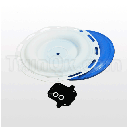 Diaphragm Kit Ptfe DC24K905