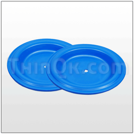 Diaphragm Kit Santoprene DC24V242