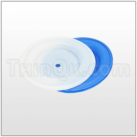 Diaphragm Kit Ptfe DC24W220