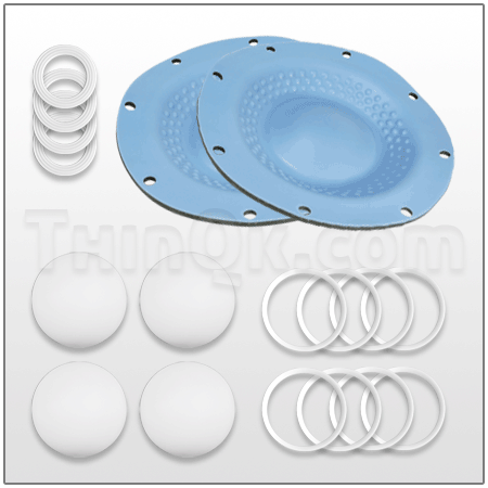Wet End Kit DC476-255-659