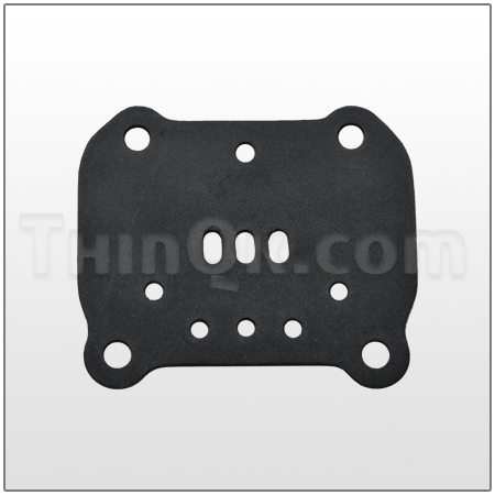 Gasket DC360.V003.360