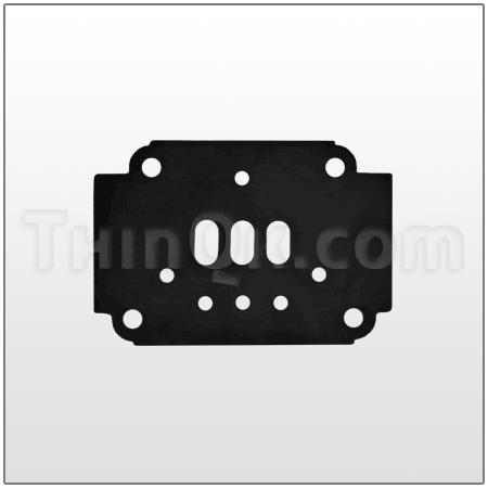 Gasket DC360.V002.360