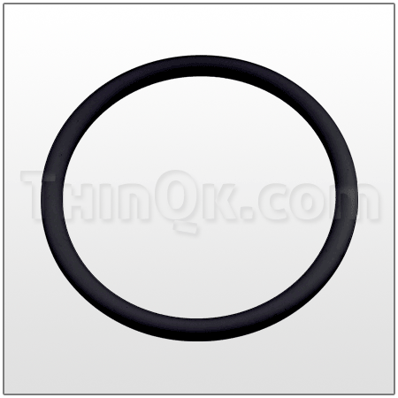 O-Ring DC683999